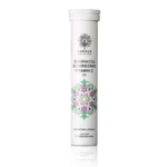 ΣΥΜΠΛΗΡΩΜΑ ΔΙΑΤΡΟΦΗΣ ECHINACEA - ELDERBERRY ΑΝΑΒΡΑΖΟΝΤΑ ΔΙΣΚΙΑ